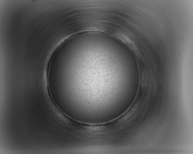 X0000089860796200707121735