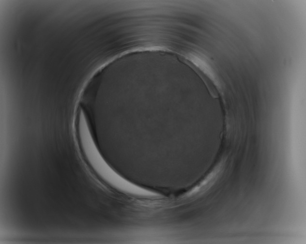 X0000089860797200707121735