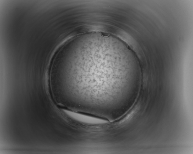 X0000089860798200707121735