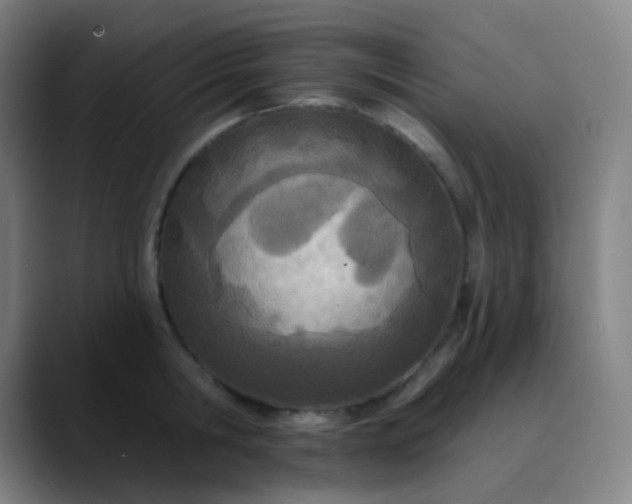 X0000089860806200707121735