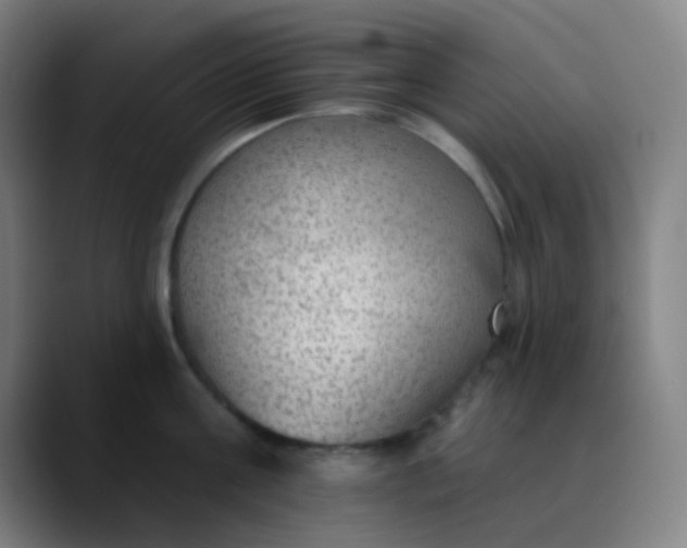 X0000089860811200707121735