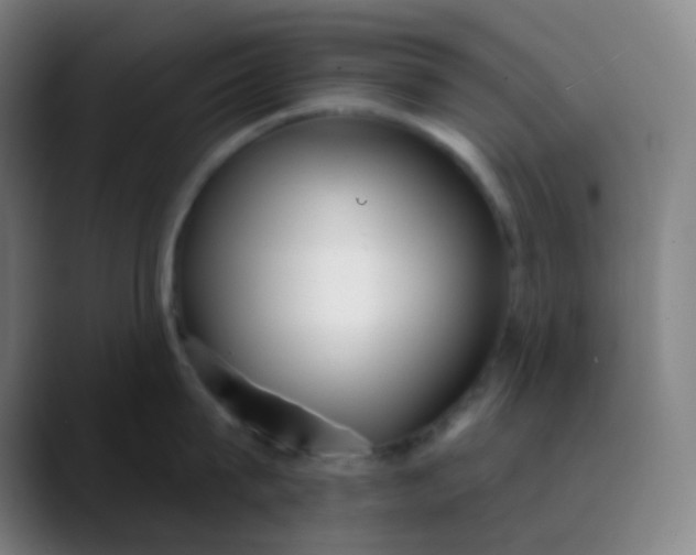 X0000089860815200707121735