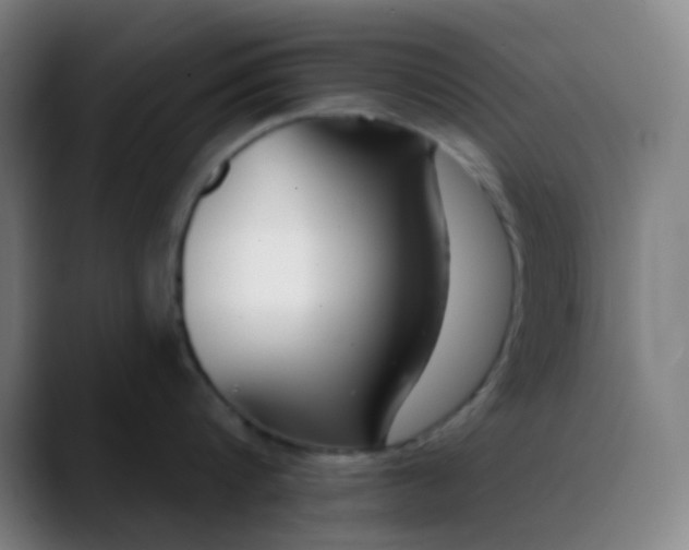 X0000089860816200707121735