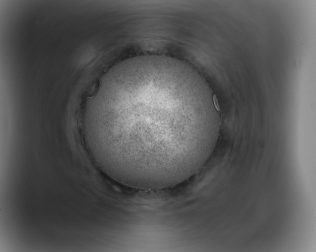 X0000089860817200707121734