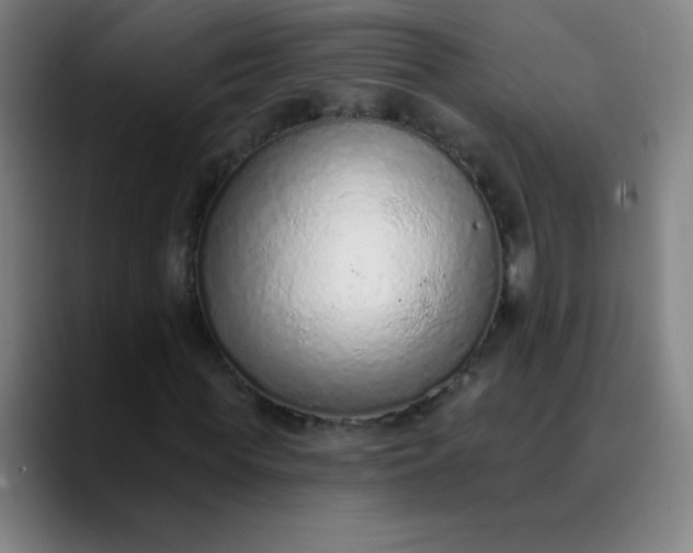 X0000089860819200707121734