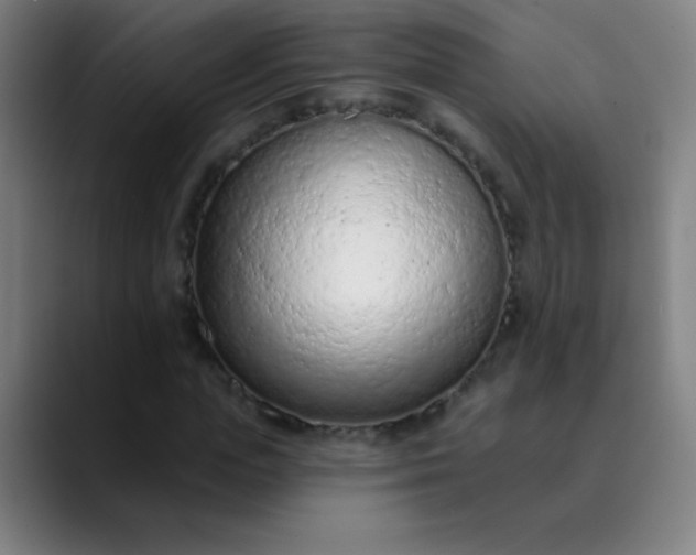 X0000089860823200707121734