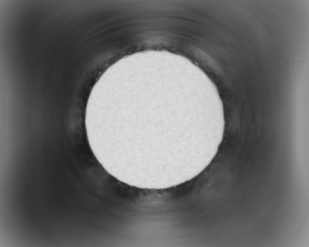 X0000089860824200707121734