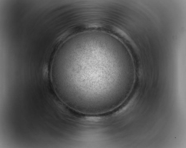 X0000089860825200707121734