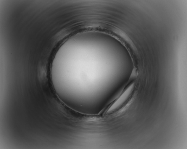 X0000089860826200707121734