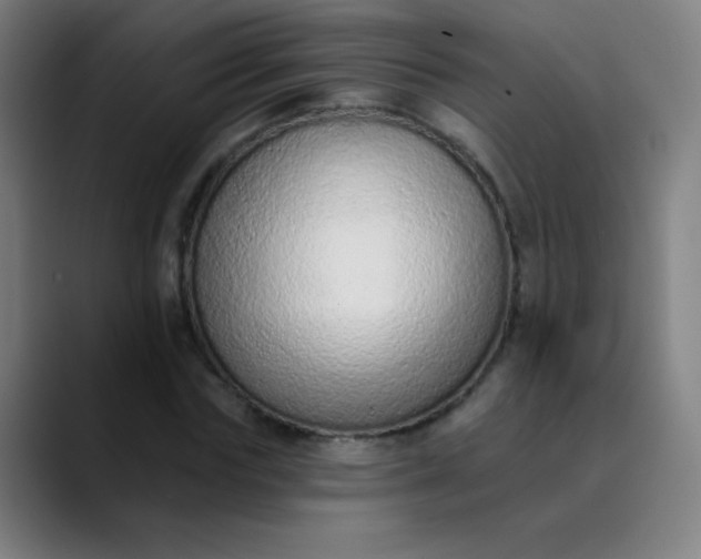 X0000089860827200707121734