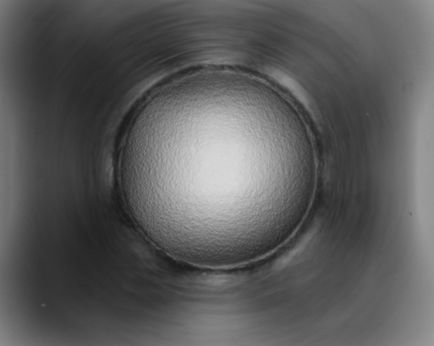 X0000089860829200707121734