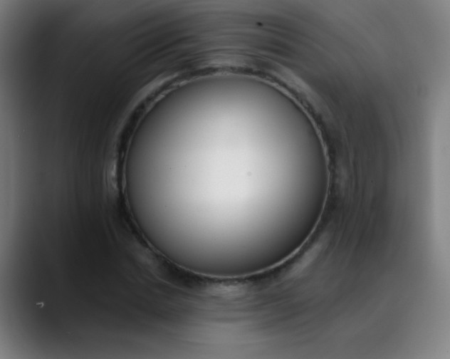 X0000089860830200707121734