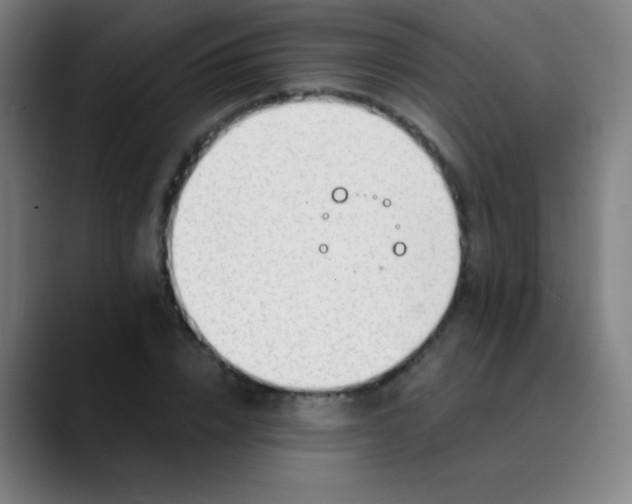 X0000089860832200707121734