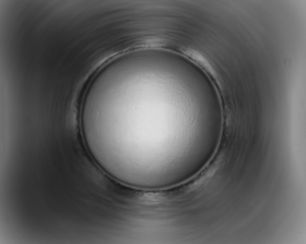 X0000089860835200707121734