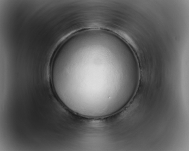 X0000089860839200707121734