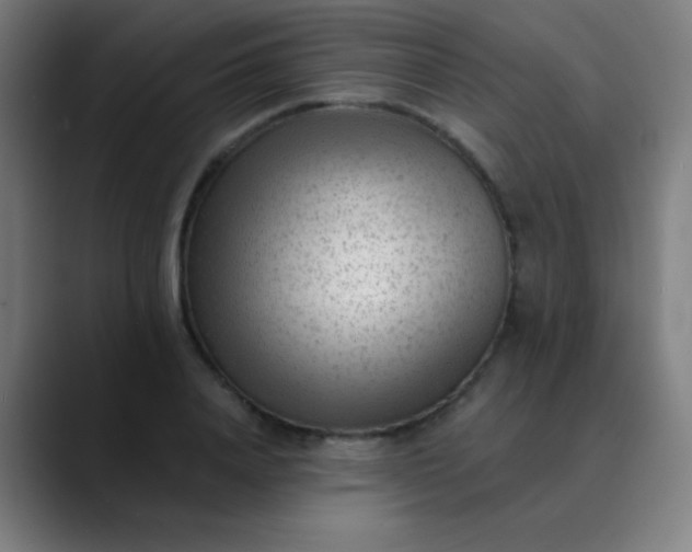 X0000089860840200707121734