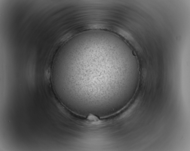 X0000089860841200707121734