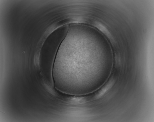 X0000089860842200707121734