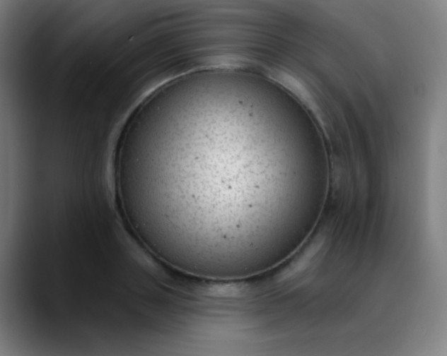 X0000089860843200707121734