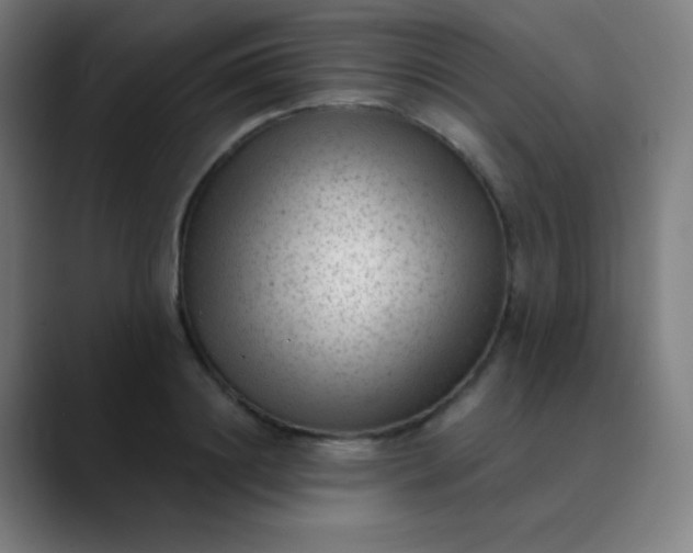 X0000089860844200707121734