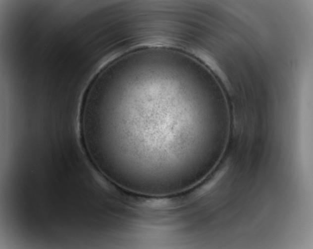 X0000089860845200707121734