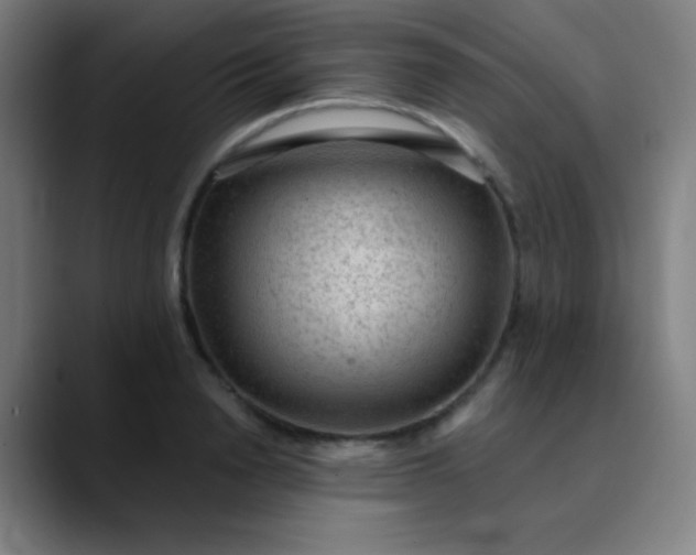 X0000089860846200707121734