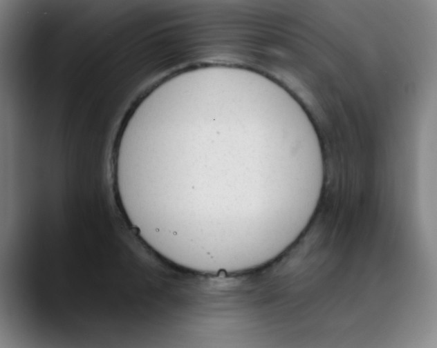 X0000089860848200707121734