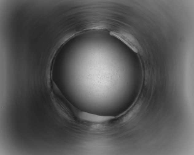 X0000089860850200707121735