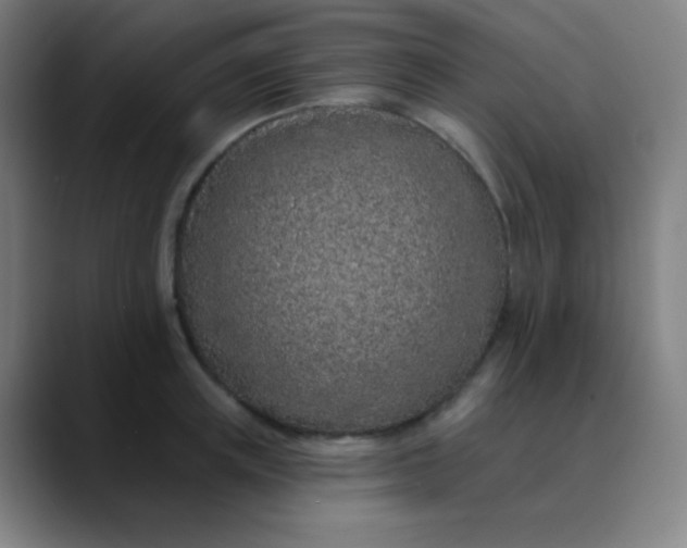 X0000089860851200707121735