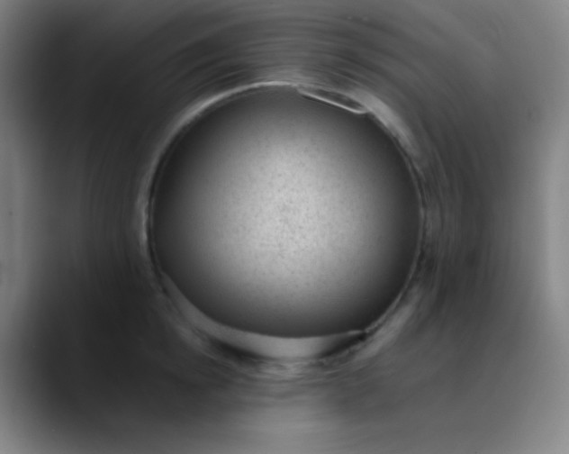 X0000089860854200707121735