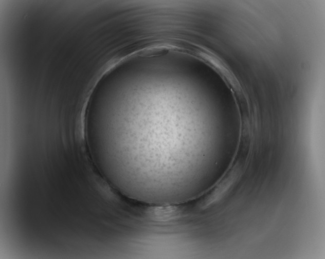 X0000089860858200707121735