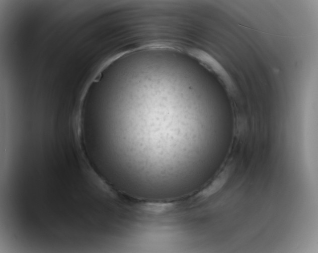 X0000089860860200707121735