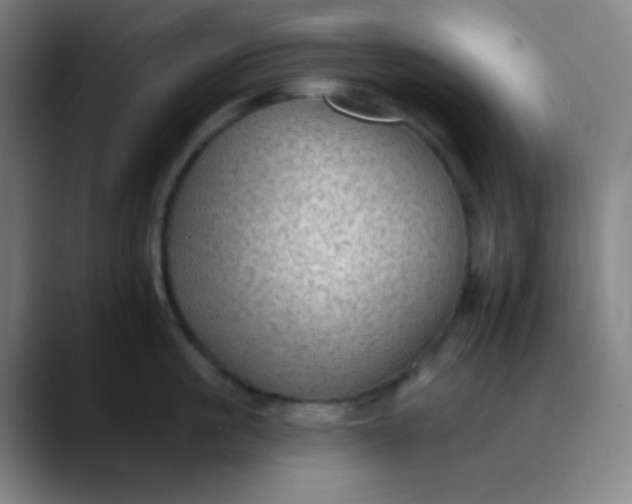 X0000089860861200707121735