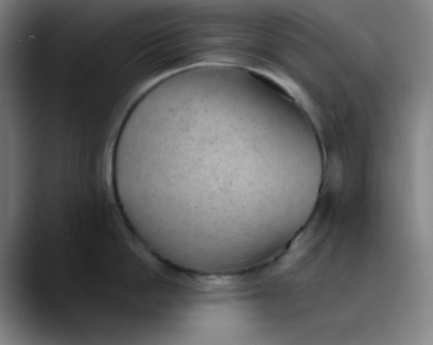 X0000089860862200707121735