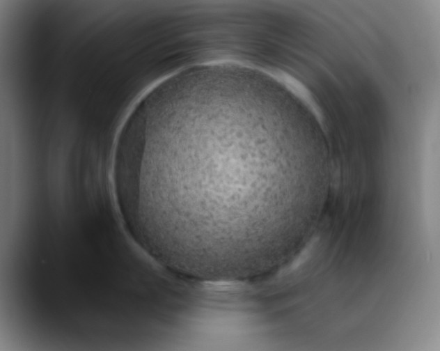 X0000089860863200707121735