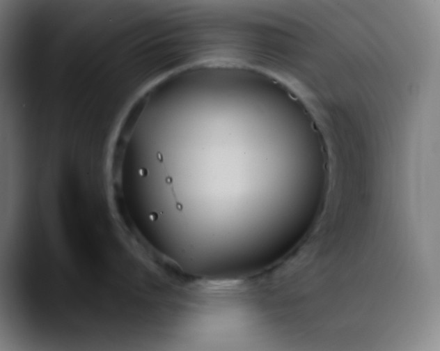 X0000089860864200707121735