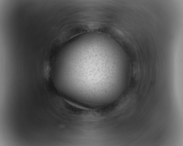 X0000089860866200707121734