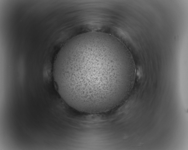 X0000089860867200707121734