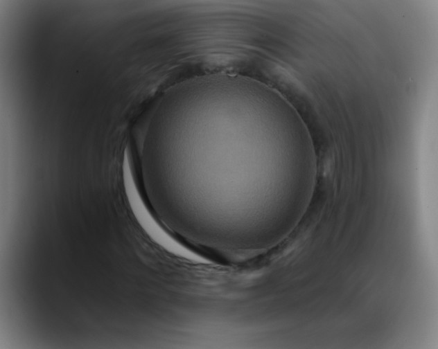 X0000089860868200707121734