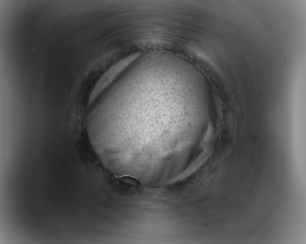 X0000089860870200707121734