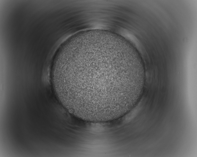 X0000089860875200707121734