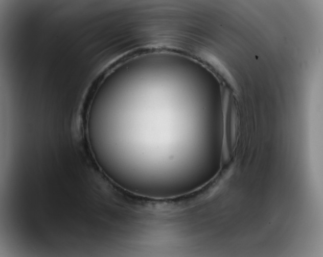 X0000089860876200707121734