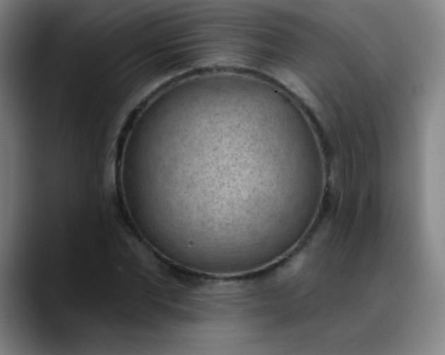 X0000089860877200707121734