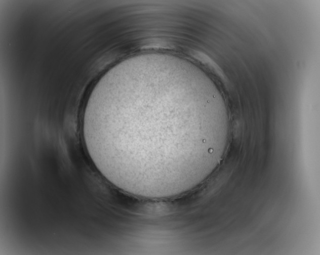 X0000089860882200707121734