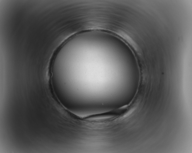 X0000089860885200707121734