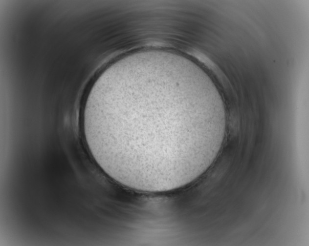 X0000089860886200707121734