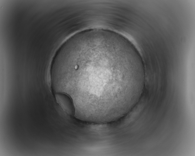 X0000089860887200707121734