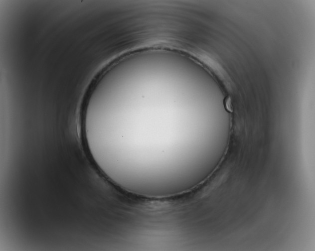 X0000089860888200707121734