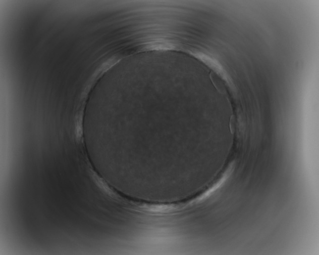 X0000089860889200707121734