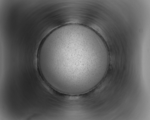 X0000089860890200707121734